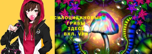 jwh Михайловск